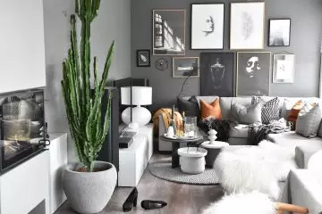 7 Tips on How to Find Your Personal Home Decor Style