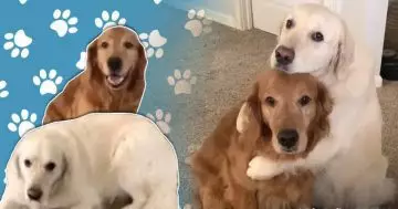 Cute Video To Start Off Your Day Right - Must Watch!