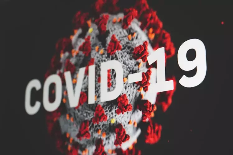 coronavirus, covid-19, disease, cure, vaccine
